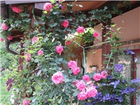 4f9fe302-Picture 725.jpg